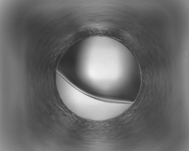 X0000066971061200603241013