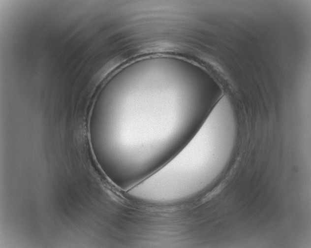 X0000066971073200603241013