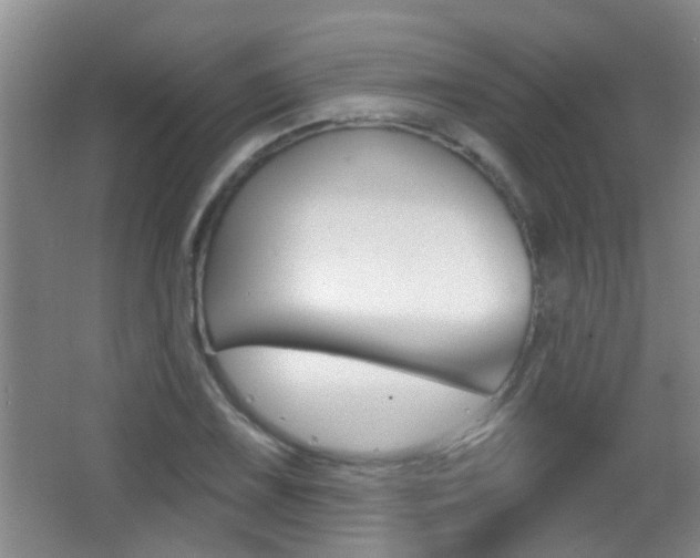 X0000066971075200603241013