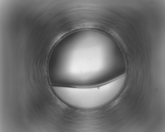 X0000066971081200603241013