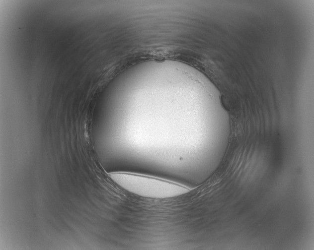X0000066971106200603241011