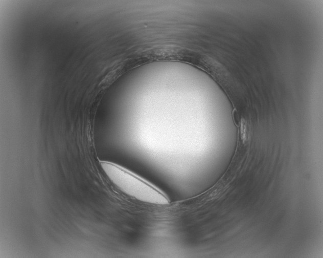 X0000066971107200603241011