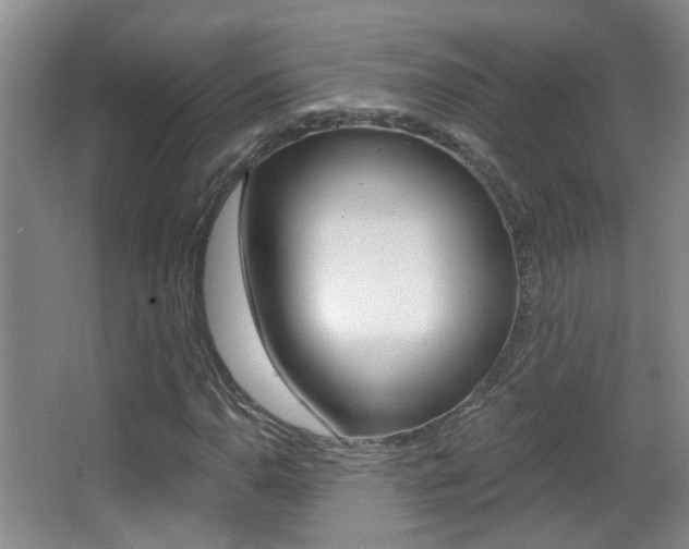 X0000066971110200603241012