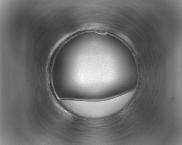 X0000066971120200603241012