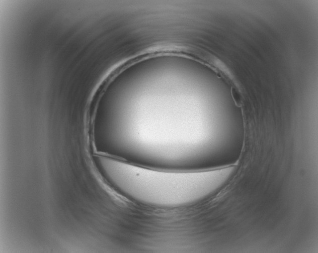 X0000066971124200603241012