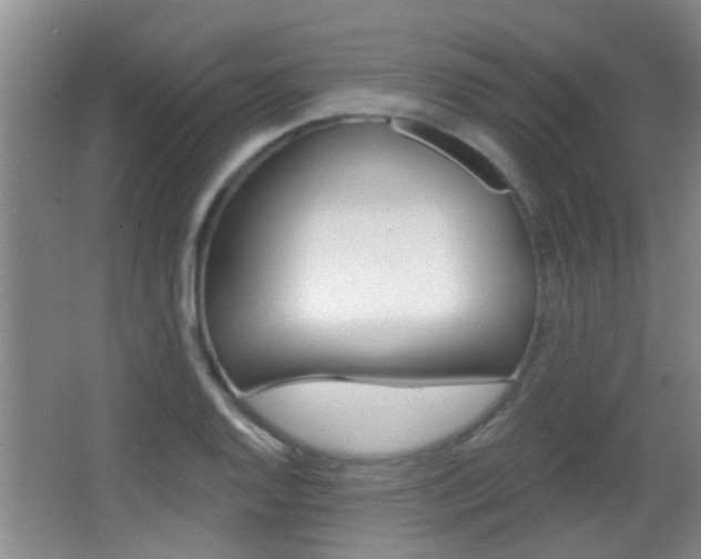 X0000066971128200603241012