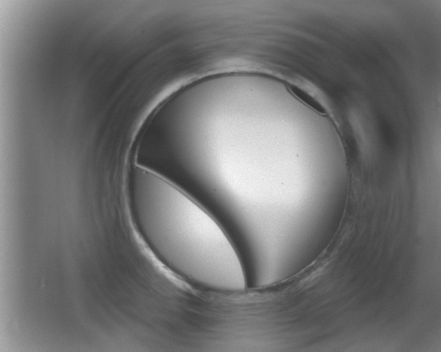 X0000066971142200603241012