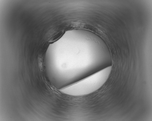 X0000066971154200603241011