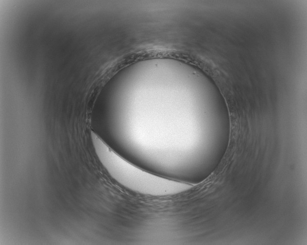 X0000066971157200603241011