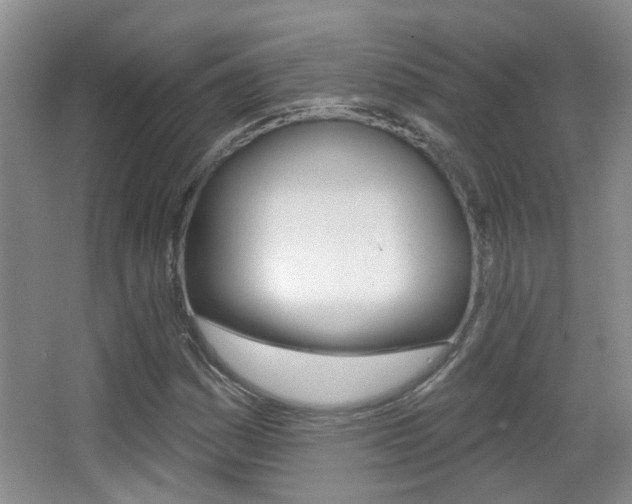 X0000066971161200603241011