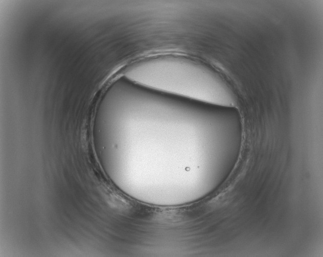 X0000066971162200603241011