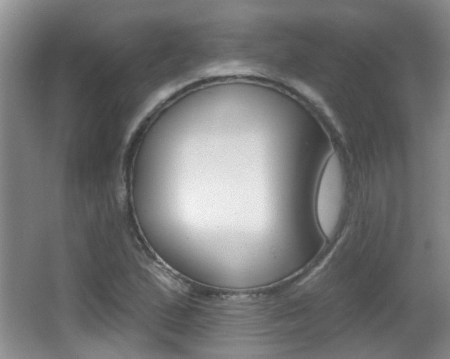 X0000066971167200603241011