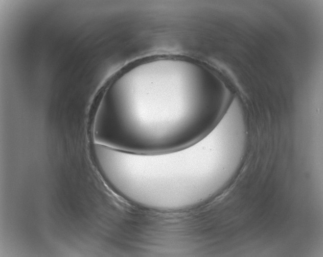 X0000066971168200603241011