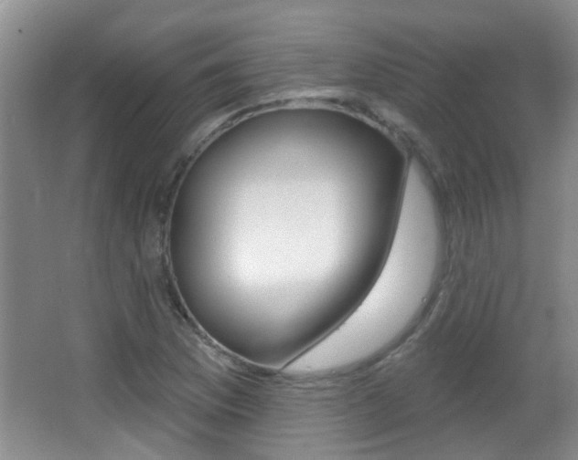 X0000066971169200603241011