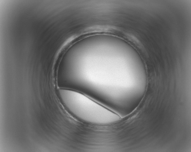 X0000066971172200603241011
