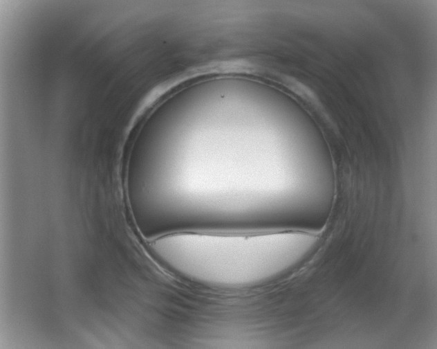 X0000066971176200603241011