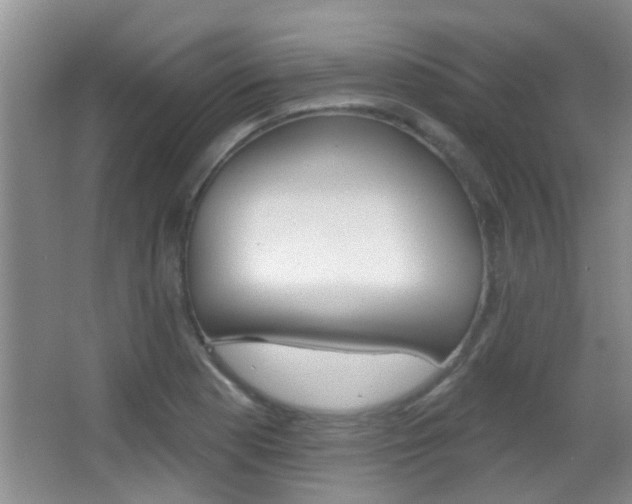 X0000066971177200603241011