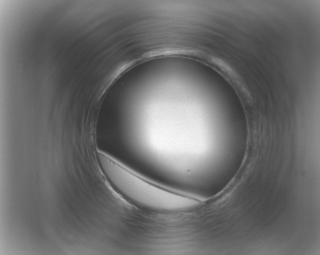 X0000066971185200603241011