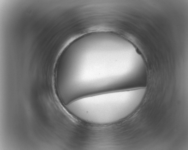 X0000066971187200603241011