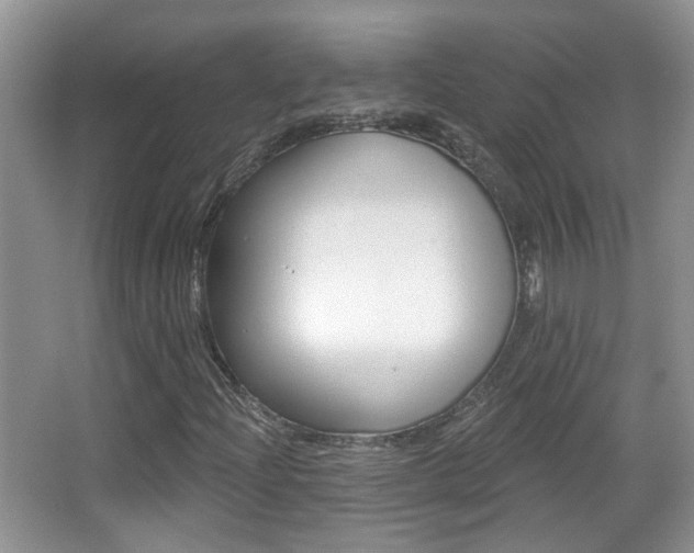 X0000066971204200603241010
