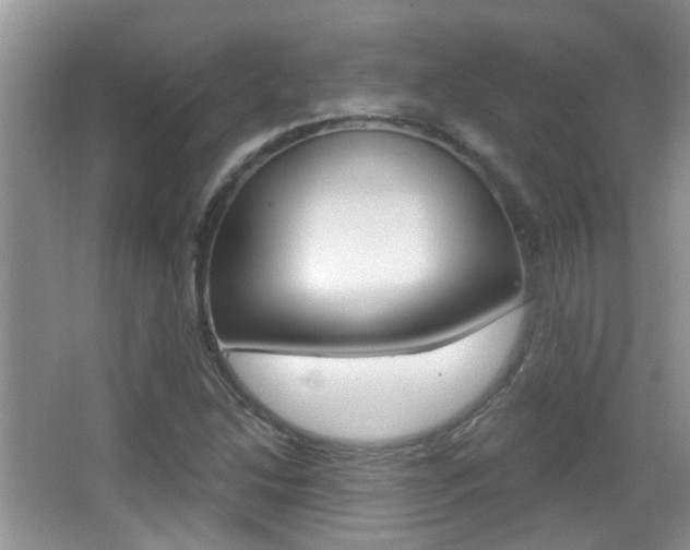 X0000066971214200603241010