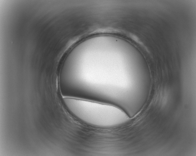 X0000066971221200603241010