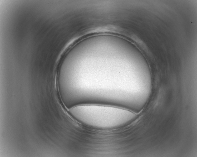 X0000066971224200603241010