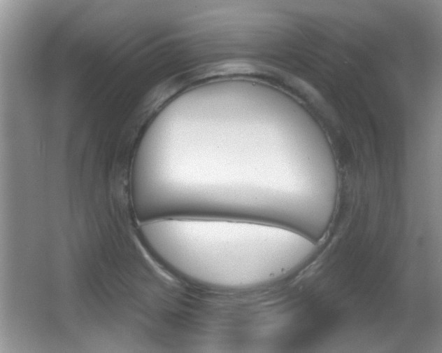 X0000066971225200603241010