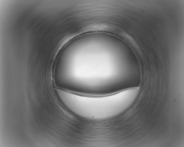 X0000066971226200603241010