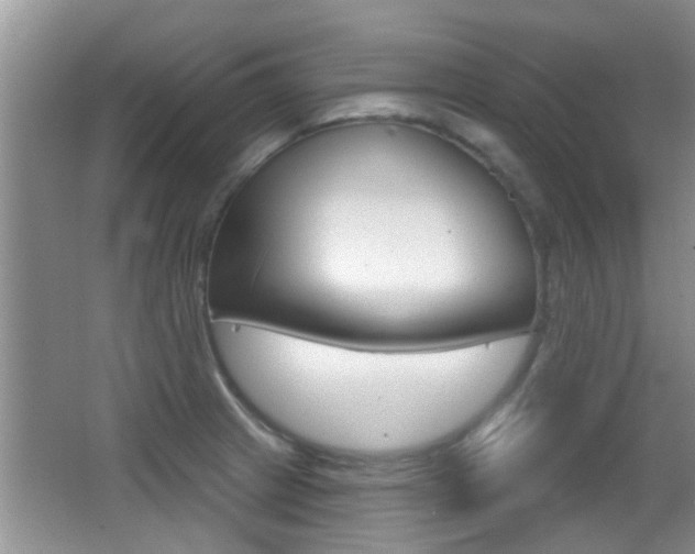 X0000066971233200603241010