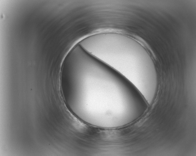 X0000066971244200603241011