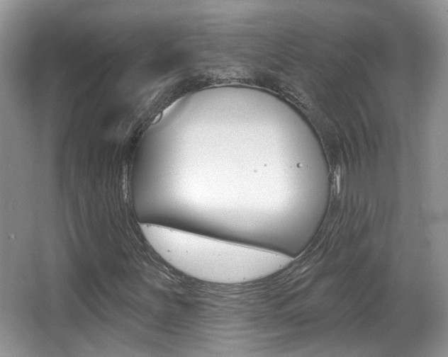 X0000066971251200603241010