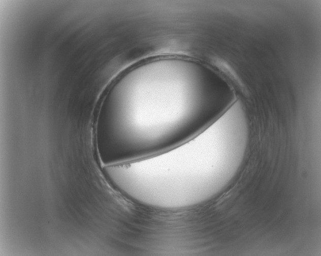 X0000066971268200603241009