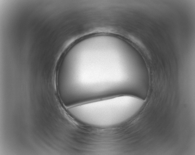 X0000066971272200603241009