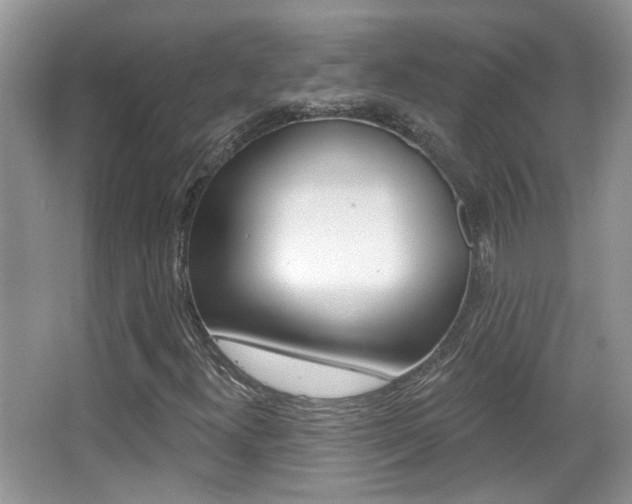 X0000066971300200603241008