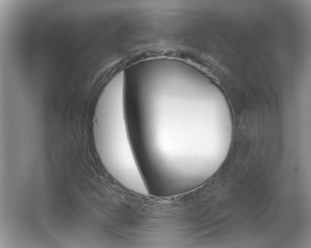 X0000066971302200603241008