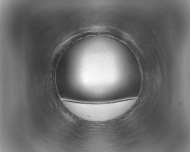 X0000066971304200603241008