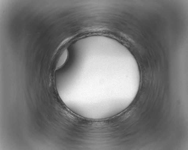 X0000066971306200603241008