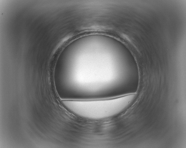 X0000066971307200603241008
