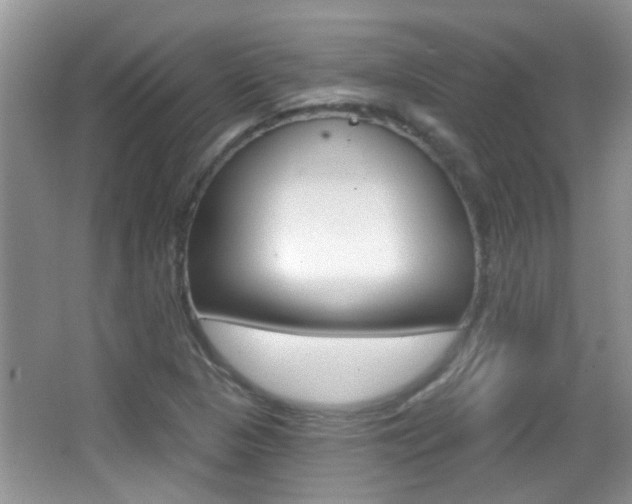 X0000066971313200603241008