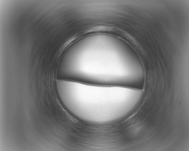 X0000066971321200603241009