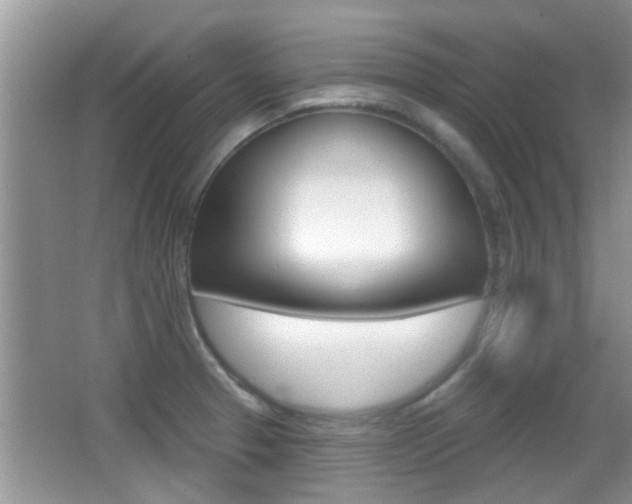 X0000066971329200603241009