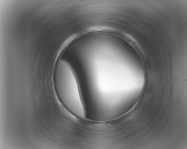 X0000066971330200603241009