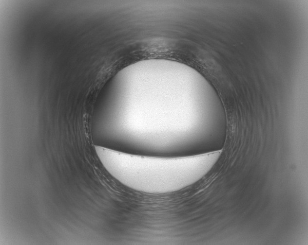 X0000066971346200603241008