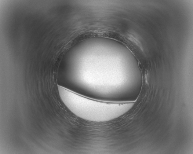 X0000066971347200603241008