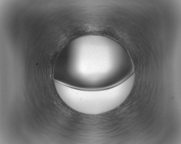 X0000066971348200603241008