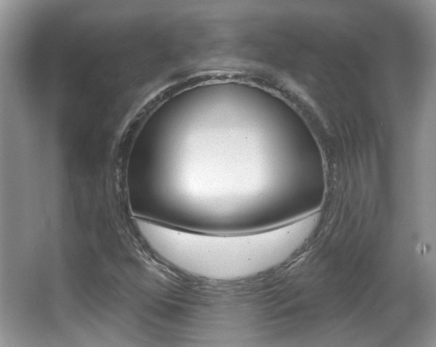 X0000066971352200603241008