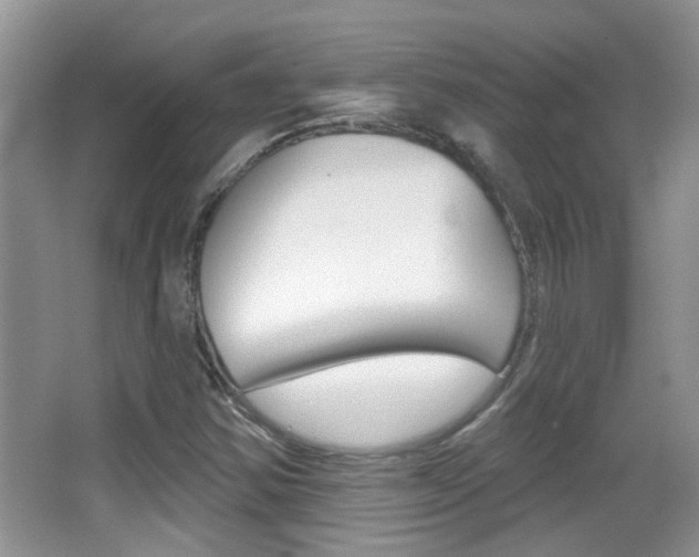 X0000066971354200603241008