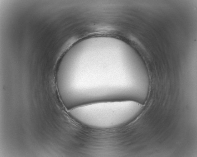 X0000066971362200603241008
