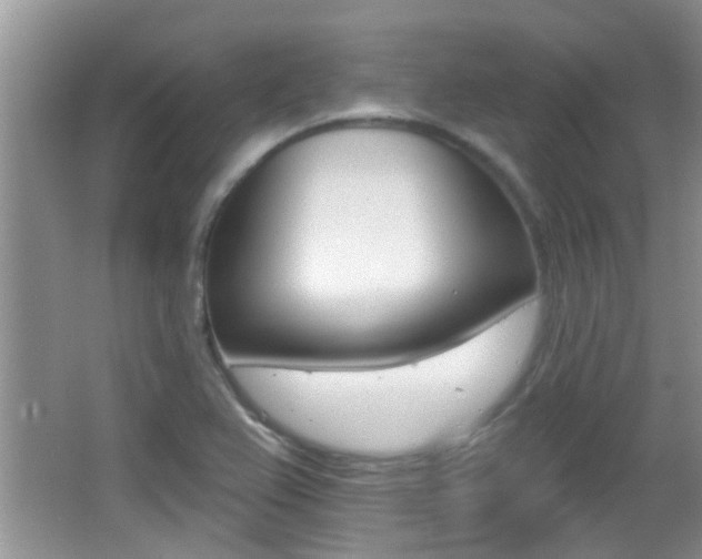 X0000066971367200603241008